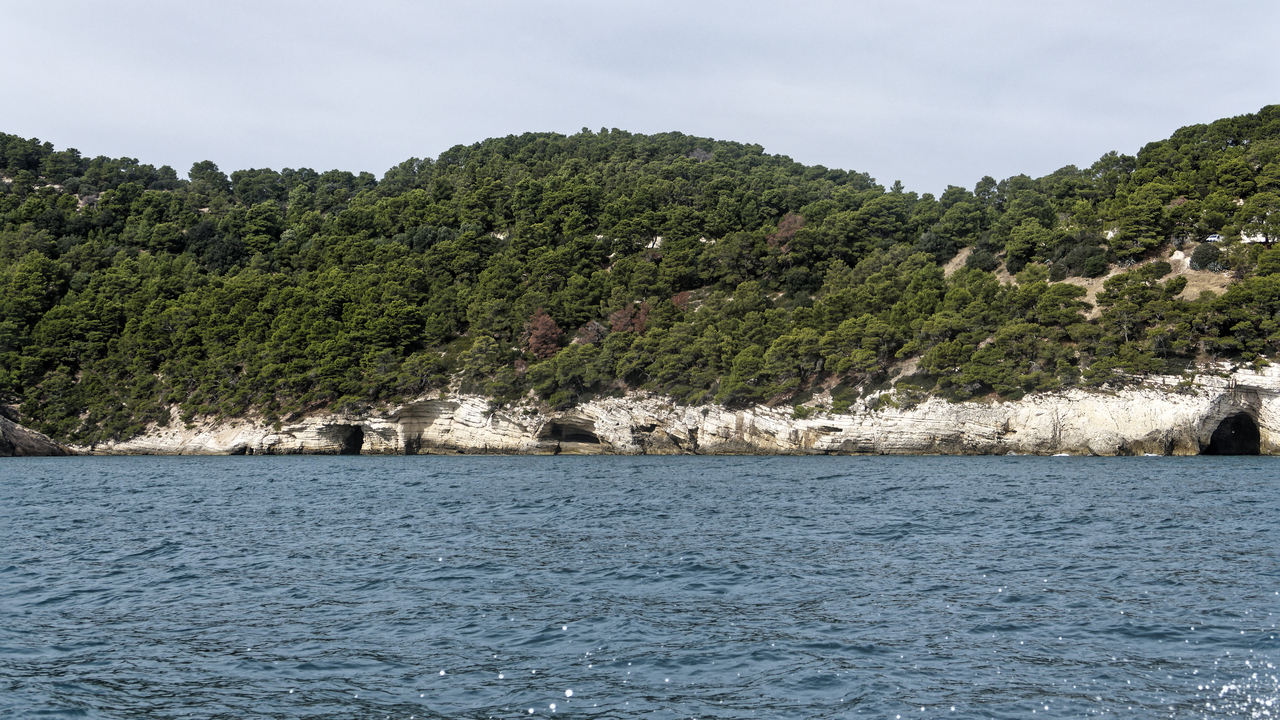 20251021•112919•Sea Caves Cruise•Vieste•Apulia•IT